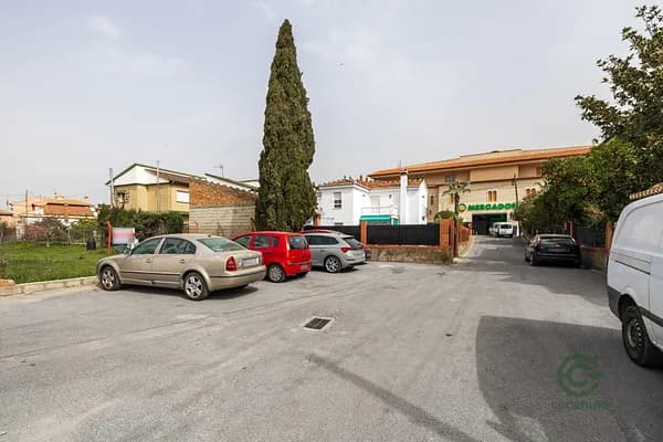 Spot image