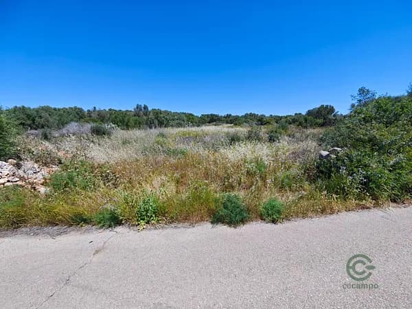 Finca rústica de 1,4658 ha en venta en Campos, Baleares
