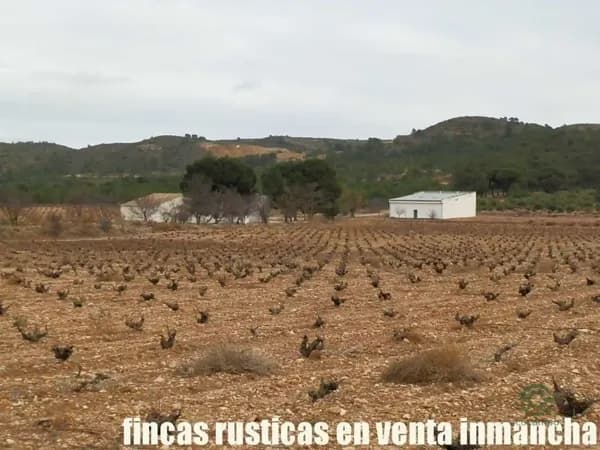 Finca rústica de 321 ha en venta en Albacete