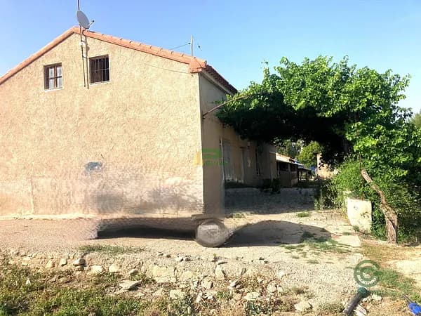 Spot image
