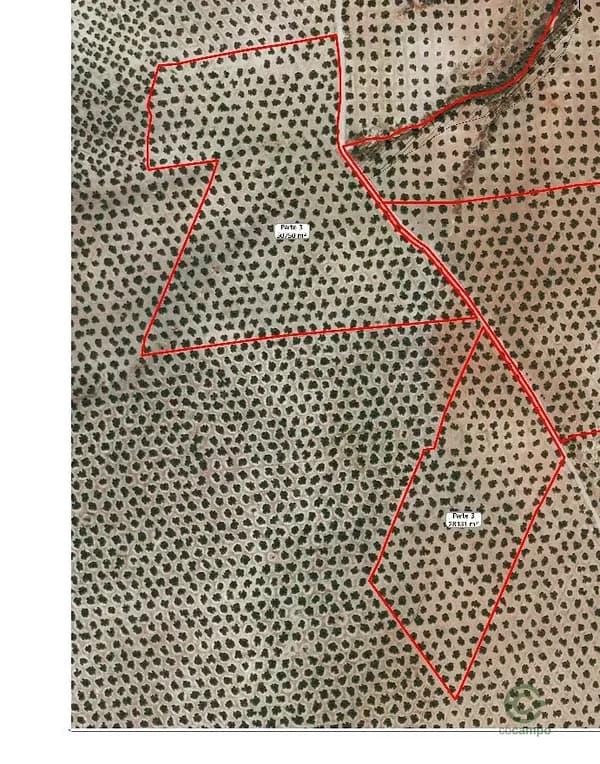 Finca agrícola de 8,25 ha en venta en Jaén