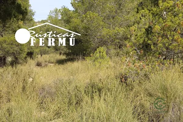 Finca rústica de 537 ha en venta en Albacete