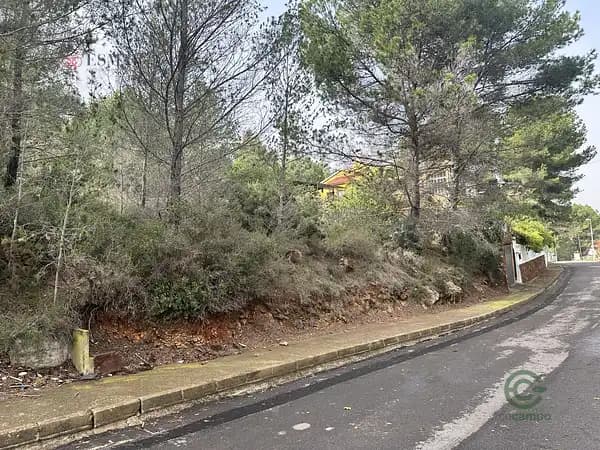 Spot image