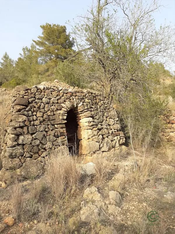Finca rustica de 1,27 ha per a venda a Tarragona