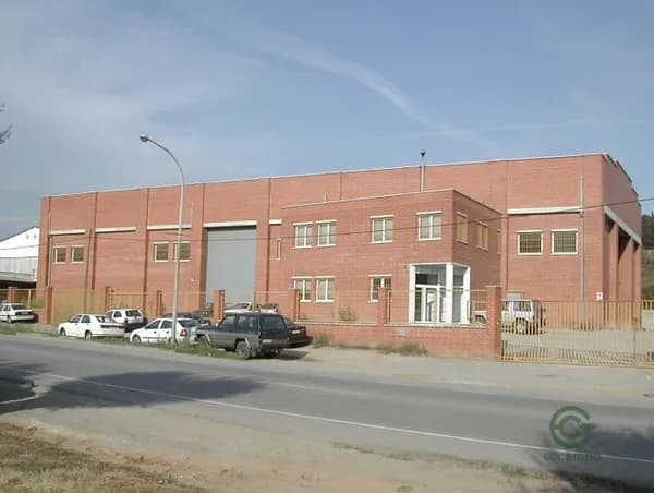 Spot image