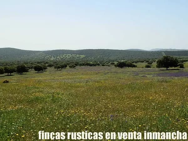 Finca rústica de 265 ha en venta en Ciudad real