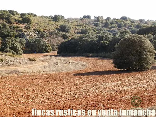 Finca rústica de 281 ha en venta en Ciudad real