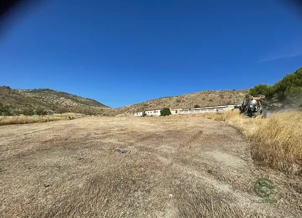 Finca rústica de 4,68 ha en venta en Jaén