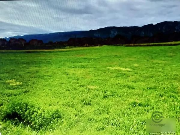 Finca rústica de 0,2394 ha en venta en Llanes, Asturias