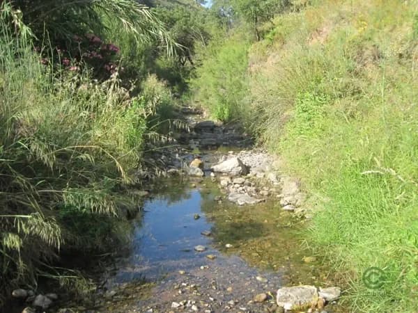 Finca agrícola de 5,94 ha en alquiler en Mijas, Malaga