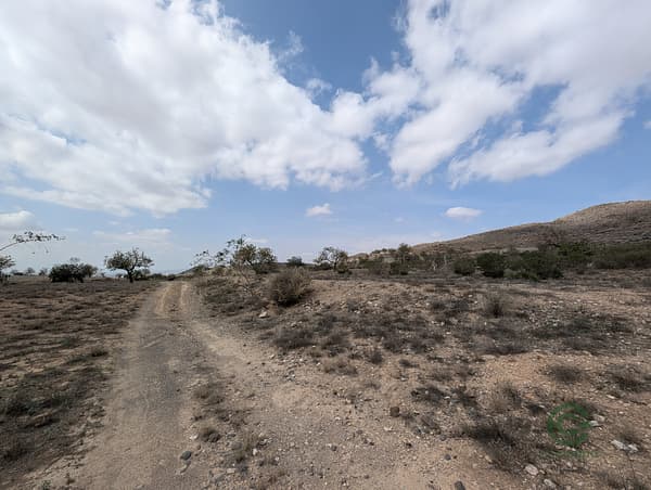 Finca rústica de 9,6126 ha en venta en Murcia