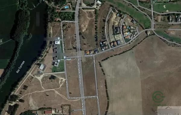 Spot image