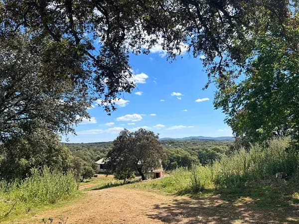 Finca rústica de 97 ha en venta en Sevilla