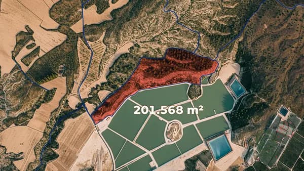 Finca rústica de 20,1568 ha en venta en Cieza, Murcia