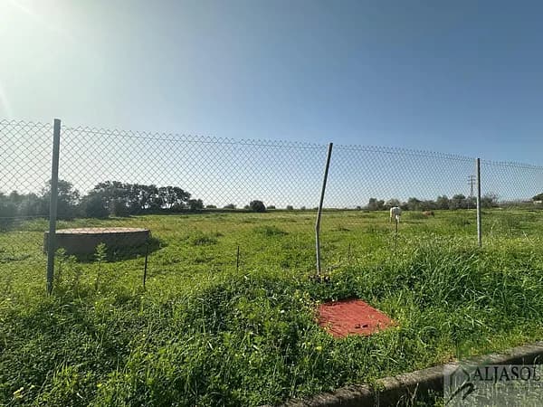 Terreno urbano de 0,1381 ha en venta en Almensilla, Sevilla