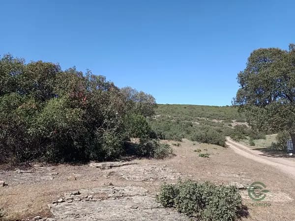 Finca cinegética de 390 ha en venta en Jaén