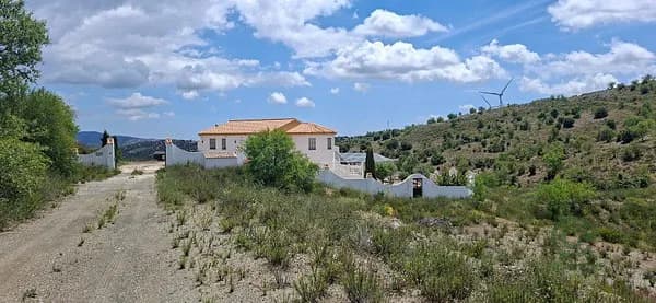 Spot image