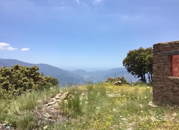 Finca agrícola de 1 ha en venta en Granada