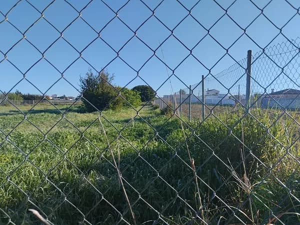 Spot image