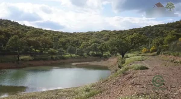 Finca rústica de 300 ha en venta en Badajoz