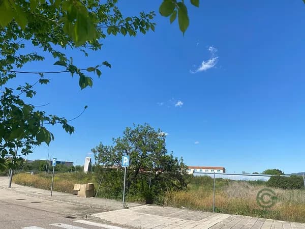 Spot image