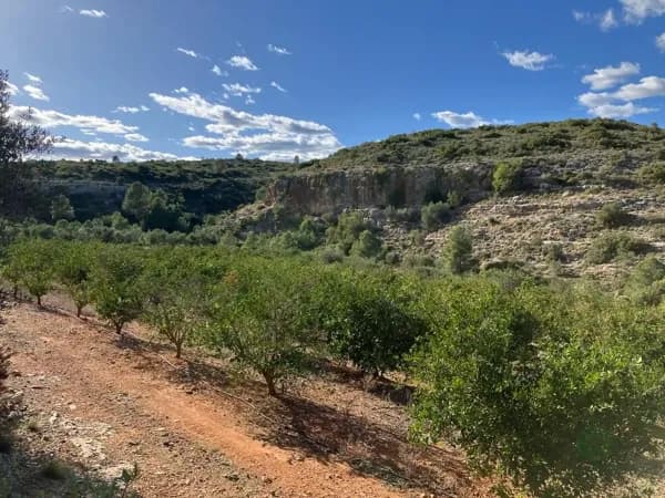 Finca rústica de 1 ha en venta en Valencia