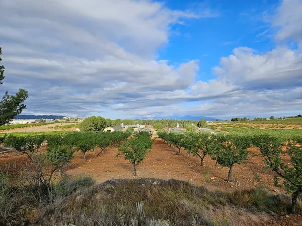 Finca agrícola de 163 ha en venta en Murcia