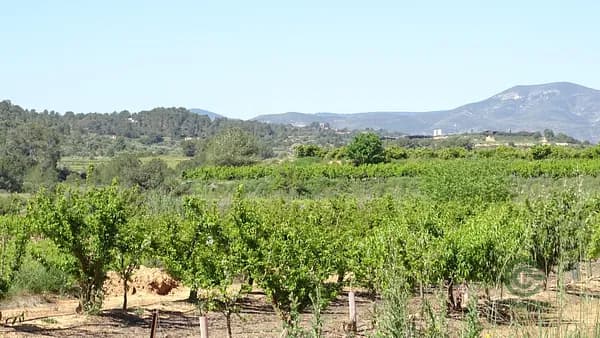 Finca agrícola de 1,27 ha en venta en Vilamarxant, Valencia