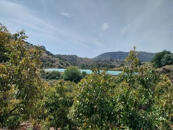 Spot image