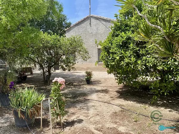 Finca rústica de 1,7 ha en venta en Elche-elx, Alicante