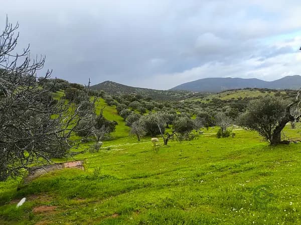 Finca rústica de 4 ha en venta en Badajoz