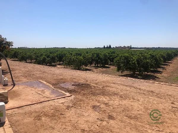 Finca agrícola de 100 ha en venta en Valencia