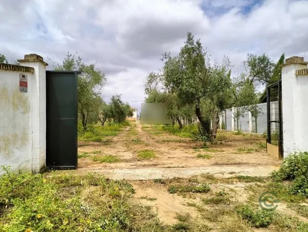 Finca agrícola de 0,33 ha en venta en Pilas, Sevilla