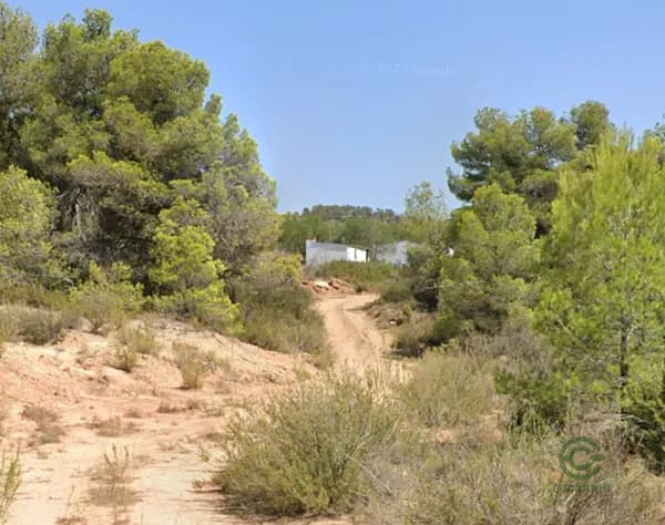 Spot image