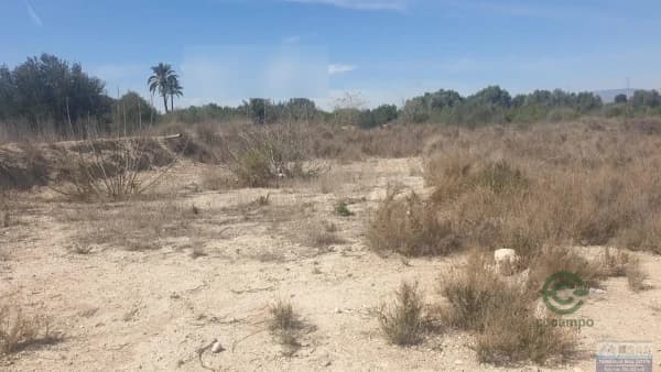 Finca rústica de 0,13 ha en venta en Benferri, Alicante