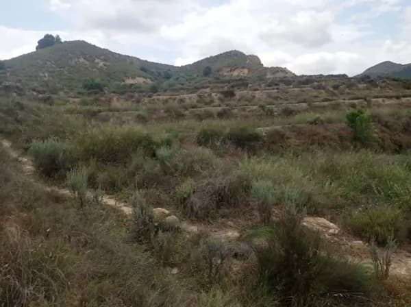Finca agrícola de 3,6 ha en venta en S. jose de la vega, Murcia