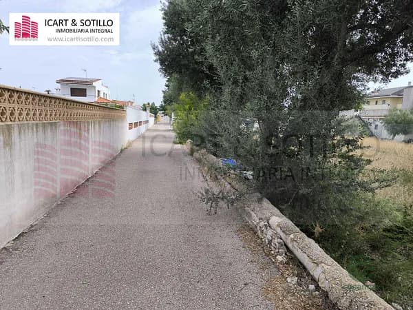 Spot image