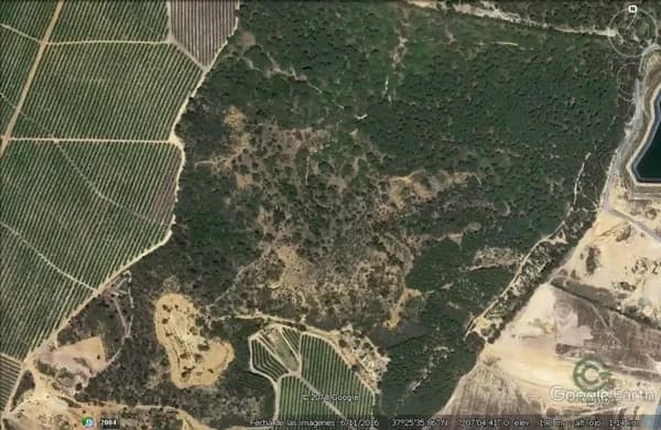 Finca forestal de 48 ha en venta en Huelva