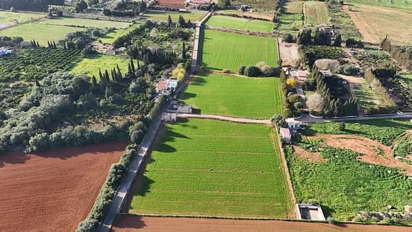 Finca agrícola de 2,5644 ha en venta en Muro, Baleares