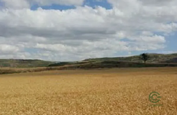 Property Secondary Image 3