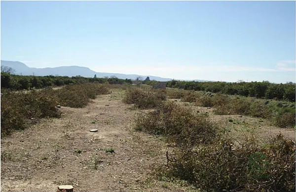 Property Secondary Image 4