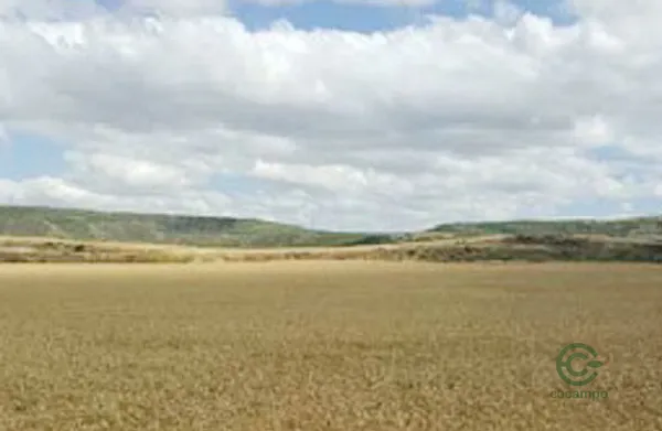 Property Secondary Image 1