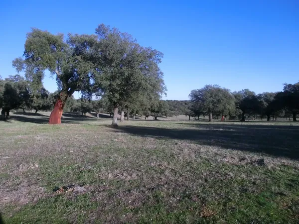 Property Secondary Image 3