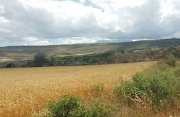 Property Secondary Image 2