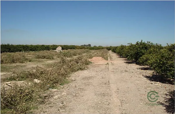 Property Secondary Image 2