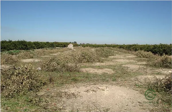 Property Secondary Image 3