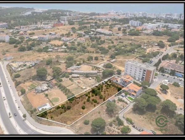 Spot image