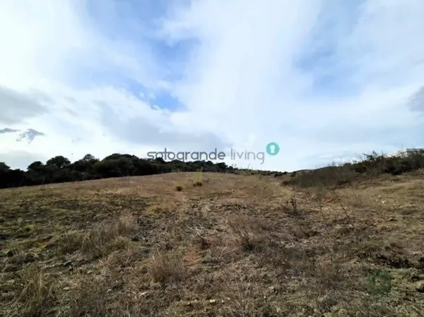 Spot image