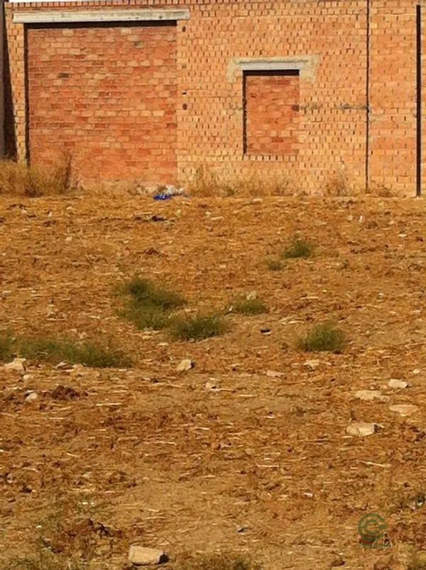 Spot image