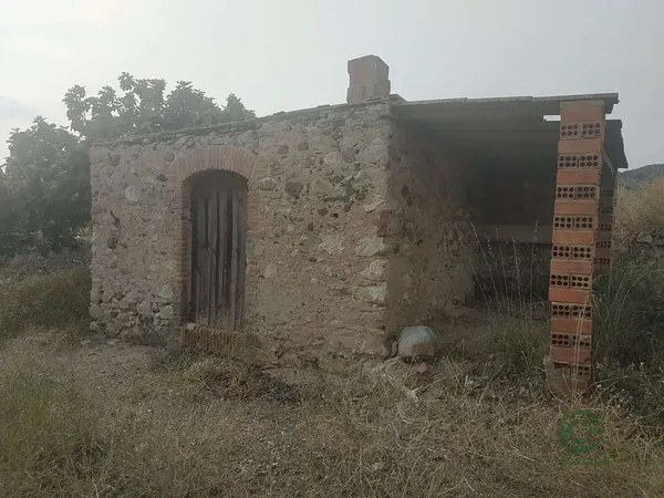 Spot image